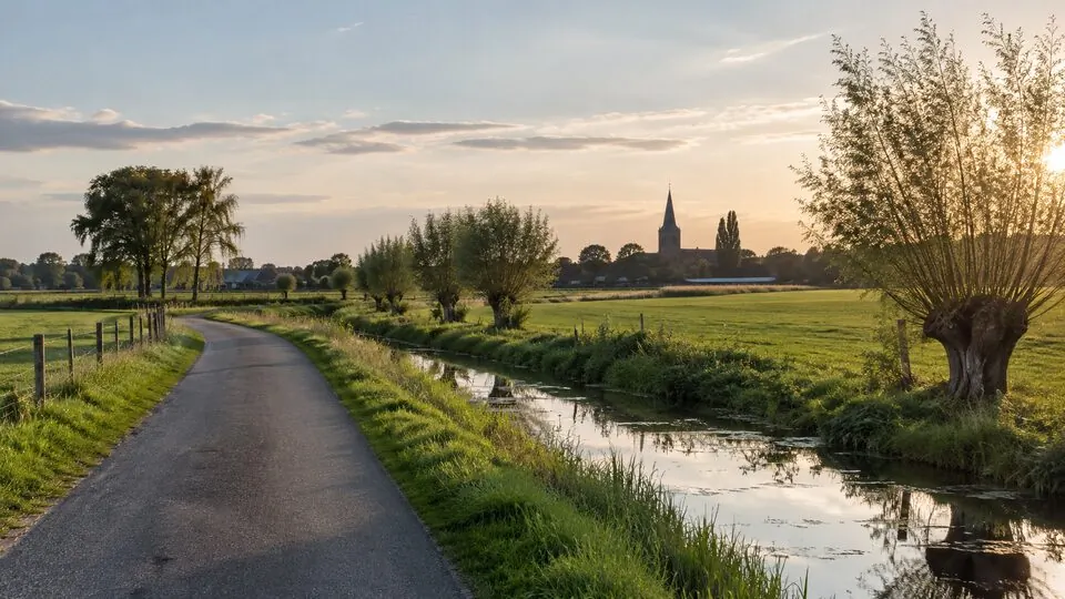 Niederrheinische Landschaft mit Weg, Wasserlauf und Kopfweiden bei Abendlicht